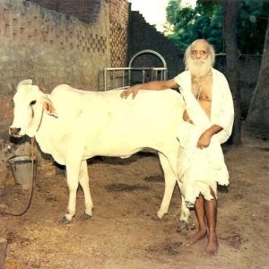 Copy of Picture 1 (Pushpa)